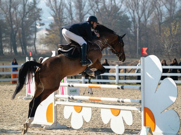 Comment choisir son VTT ?